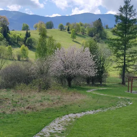 Dzika Dziura Z Jacuzzi Apartament