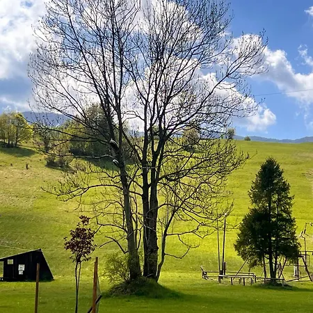 Dzika Dziura Z Jacuzzi Lejlighed