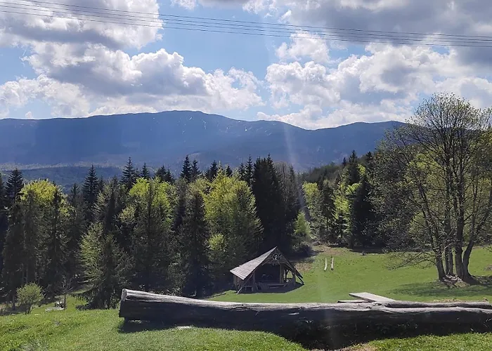 Dzika Dziura Z Jacuzzi *